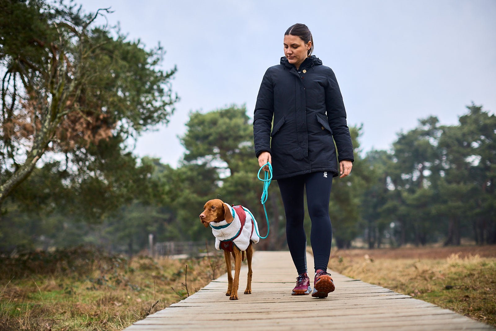 Trekking Rope Leash (Non - Stop Dogwear) - SnowPaw Store - Non - Stop Dogwear - Dog Lead